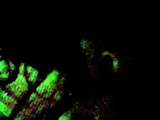 Mi novia me chupa la verga bien rico y se la dejo caer en los pechos 😍