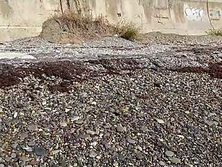 Four feminists shockingly fill teen girl's holes with cum in wild session.