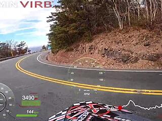 Blonde tattooed babe bent over for hardcore ball sucking at Halloween asylum