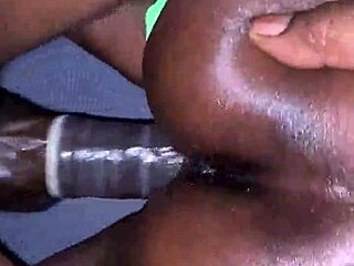 stripper competes with porn star in sexy showdown