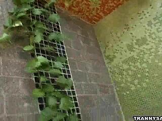 brazilian shemale babe shares her solo session tugging her hard cock