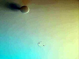 In this European transsexual shemale video, my favorite pose is to eat passionately