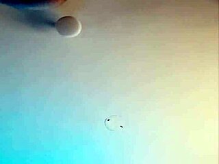 In this European transsexual shemale video, my favorite pose is to eat passionately