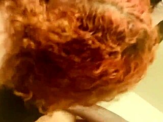 youngstarbrazy released a new ep mixtape on soundcloud so bigbootilatte rewarded him compilation