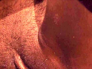 Vintage Hairy Pussy Interracial Foursome