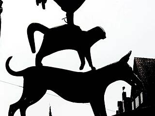 these european heavyweights get hardcore with lucio marave.