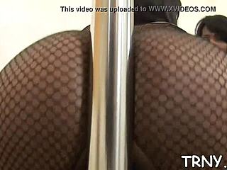 Transsexual Shemale Performs Hardcore Blowjob In Porn Video