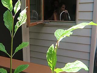 nikki gets fucked doggystyle from behind with her big tits bouncing