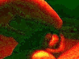 Ifoslave's Requested Solo Session