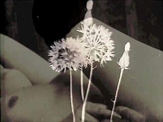 dark lantern entertainment presents beauty and the beast in vintage style