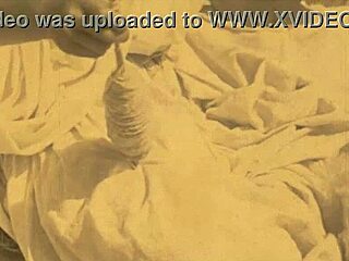 Minha Vida Secreta Revela Top Belezas Peludas Vintage