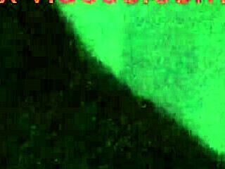 X Videos Showcase Explicit Pussy Action in Detail