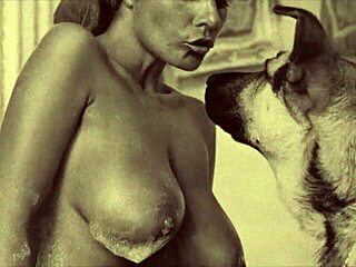 dark lantern entertainment presents beauty and the beast in vintage style