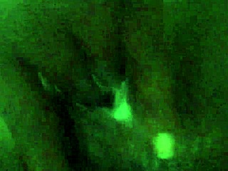 that black pussy just squirted all over during solo masturbation.