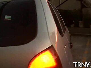 Tranny Sucks and Fucks Hard Cock