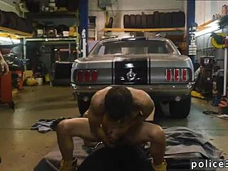 Gay studs banging hard in short clips