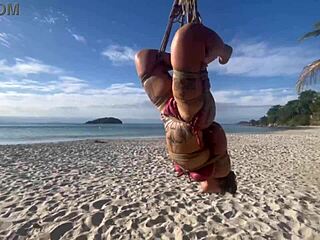 want to see anomaly dark's latina tits bound in shibari?