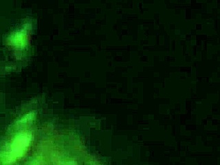 solo le gusta anal, nothing else turns her on like that colombian latina's assfucking