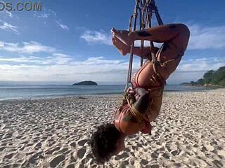 want to see anomaly dark's latina tits bound in shibari?