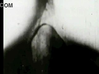 dark lantern entertainment presents two centuries of vintage porn