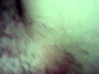 Talia Enjoys Intense Sucking and Wild Fucking