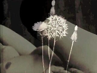 dark lantern entertainment presents two centuries of vintage porn