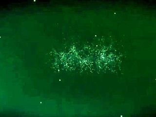 Blonde babe delivers a sunny blowjob with cumshot 😊