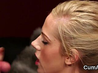 Ondskapsfull looker får ansiktsutløsning i blowbang, svelger all cum