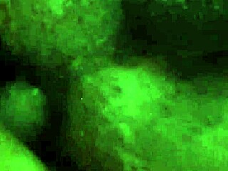 Sucking and fucking hot straight transsexuals in creampie session.