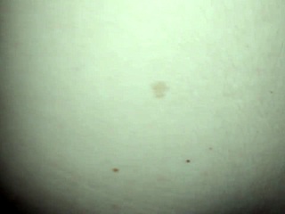 amateur babe twerks deliciously and rides on top with tasty pussy