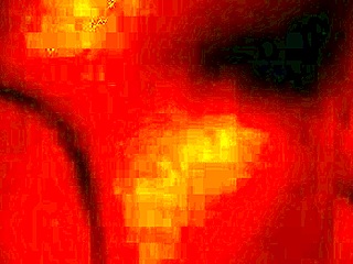 tasty cock sucking! bbw blowjob with fat cumshot!