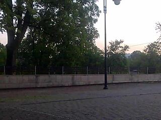 I’m Craving Public Fun with a Young Tranny