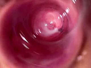 義姉妹がクリーミーなティーン18+のマンコの奥を明かす