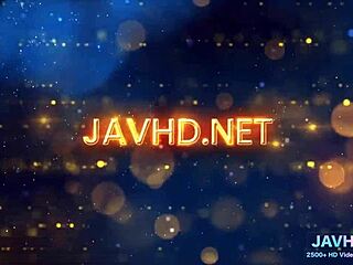 Japanese Beauties In Lingerie Show Legs And Stockings