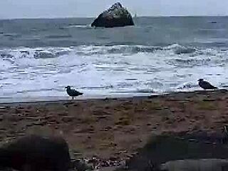 Asian babe sucks cock outdoors in high definition.