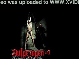 Hexe Alice trpi muke u tesnom kavezu