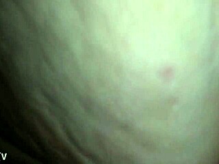 Megan Adele rides cock in homemade reverse cowgirl scene with amateurs