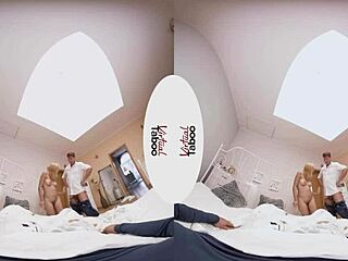 Virtual taboo diary of cocks