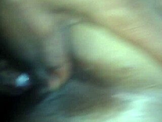 amateur creampie with black ebony bareback