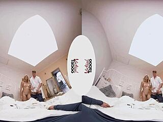 Virtual taboo diary of cocks