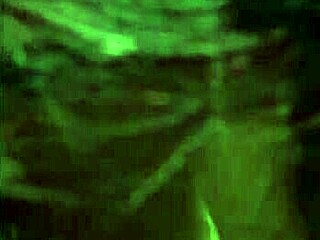 Stars libanaises en performances culturelles