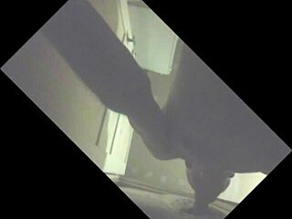 Stallion Gets Sucked in Glory Hole, Releasing Big Load