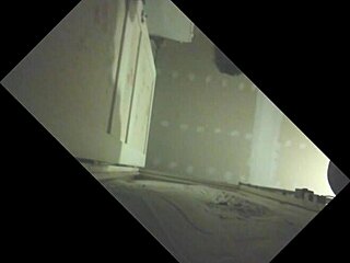 Stallion Gets Sucked in Glory Hole, Releasing Big Load