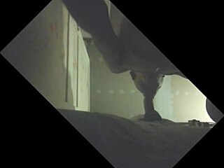 Stallion Gets Sucked in Glory Hole, Releasing Big Load