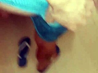 This well-endowed newcomer is arriving in the neighborhood.