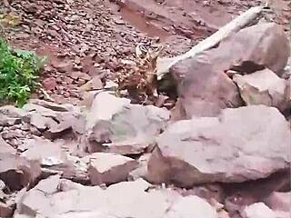 i took estefii on a mountain hike and she blew me like a whore