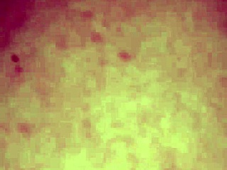 Amateur creampie explodes in juicy pussy