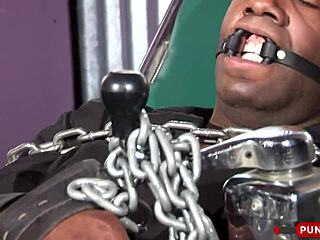 Punishtube features Sydnee Capri taking a huge black cock in her phat booty with saliva and femdom vibes