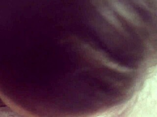 Amateurs who love to swallow cum in blowjobs and cumshots