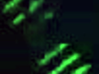 RISKY SEX OF A RUSSIAN WHORE AT NIGHT ON A PUBLIC BEACH